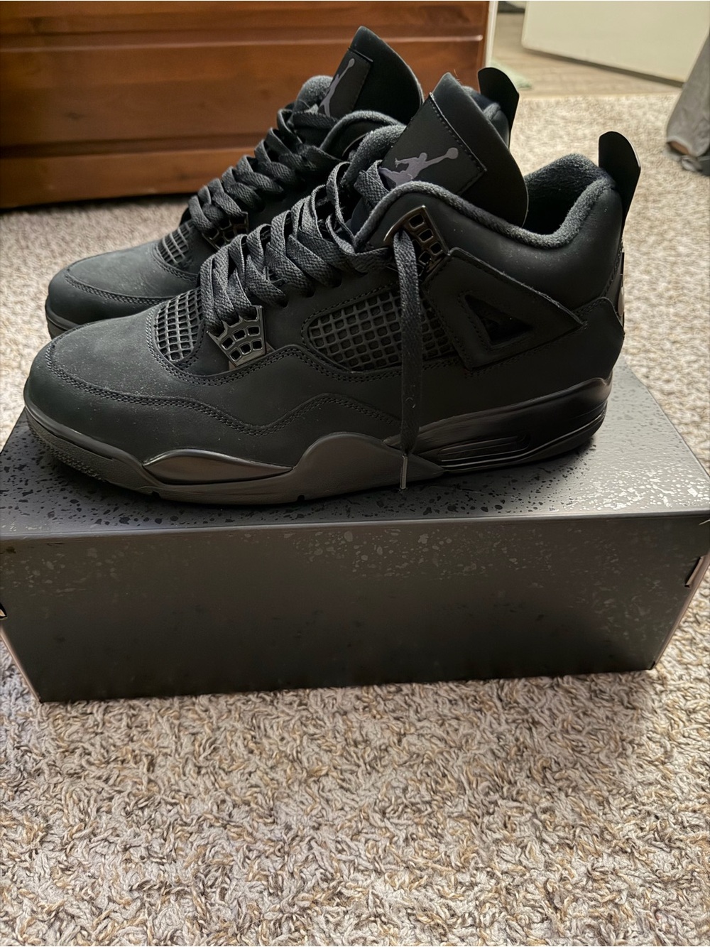 Air Jordan 4 Black Cat